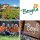 Bergila Wild Forest Bio ätherische Ölmischung